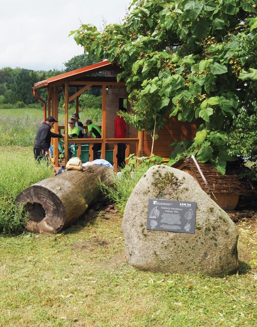 Kolekcja Narodowa rodzaju Tilia - tabliczka