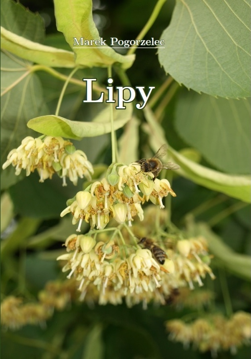 Zdjęcie książki (2021) Lipy